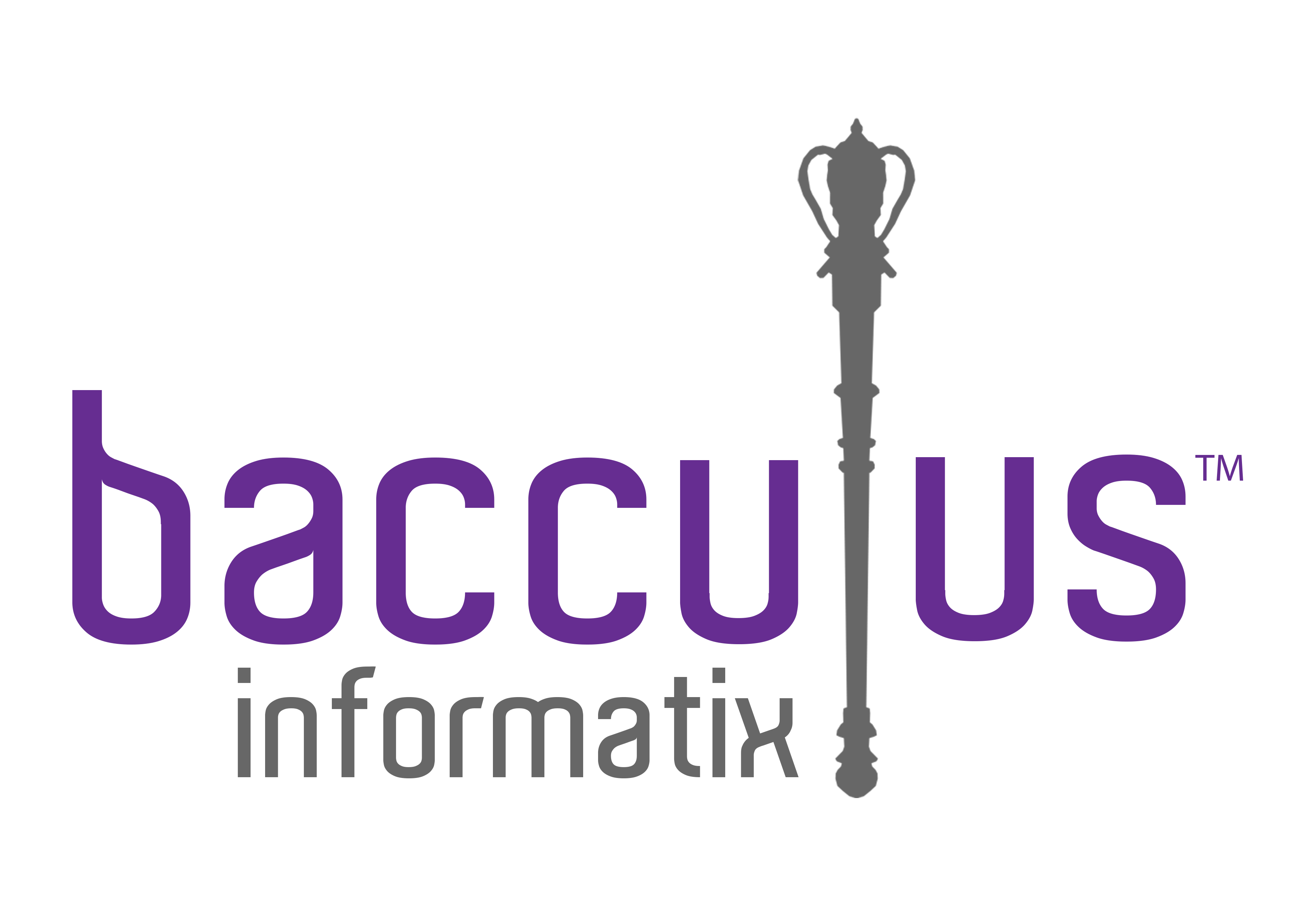 Bacculus Informatix logo